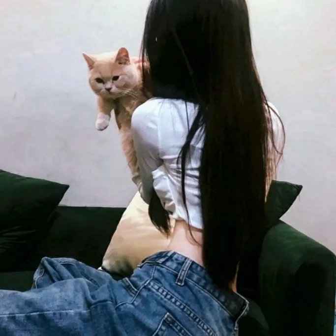 营救长颈鹿之漫漫归途
