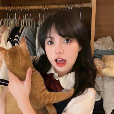 情宿